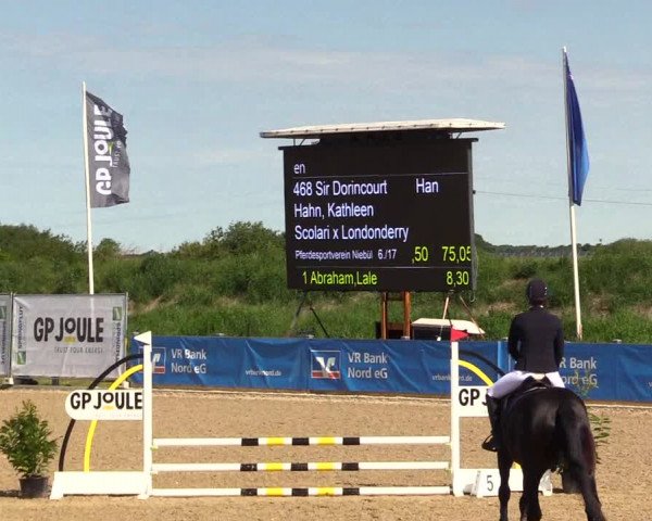 Reitturnier Niebüll 2023