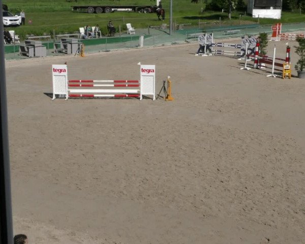 Reitturnier Harsum-Hüddessum 2023