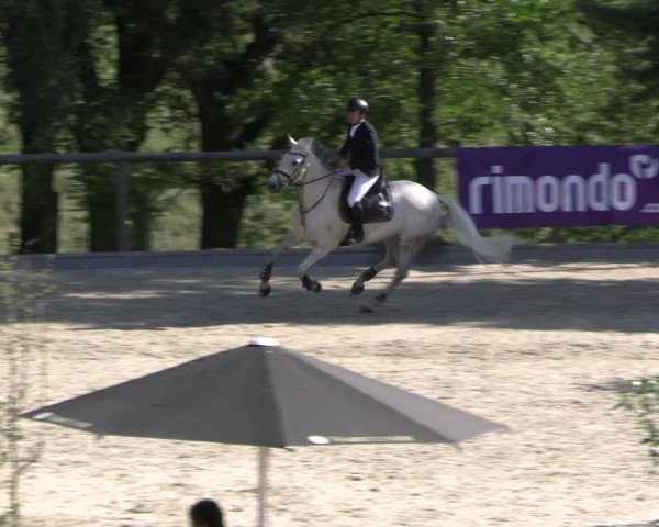 Reitturnier Erkrath - Uhlenhof 2023