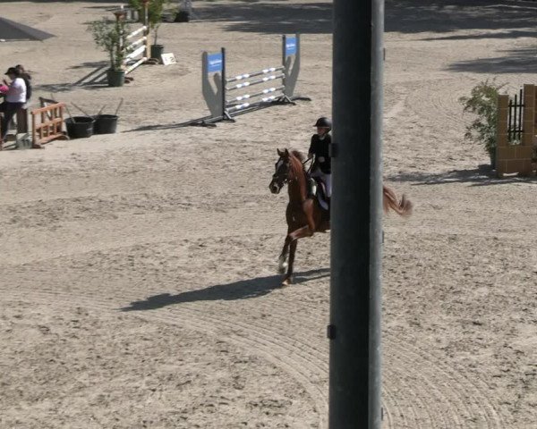 Reitturnier Erkrath - Uhlenhof 2023