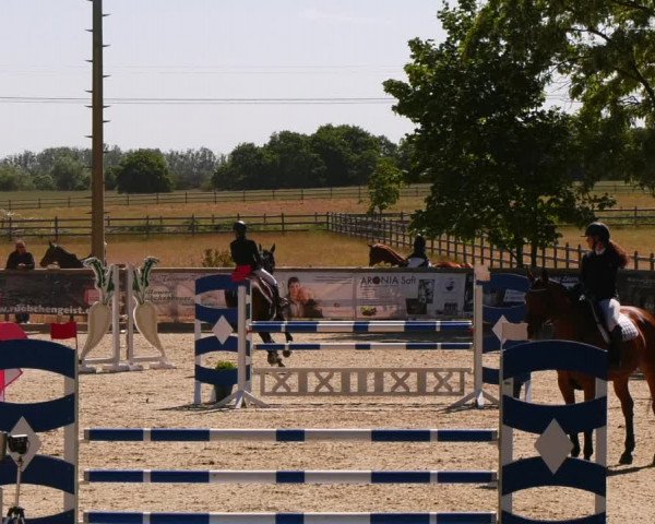 Reitturnier Ruhlsdorf 2023