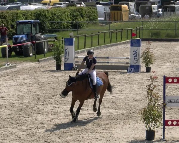 Reitturnier Werdenberg 2023