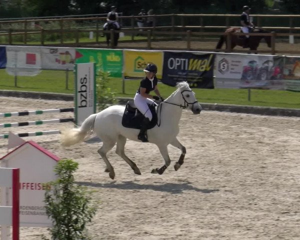 Reitturnier Werdenberg 2023