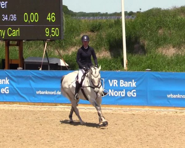 Reitturnier Niebüll 2023