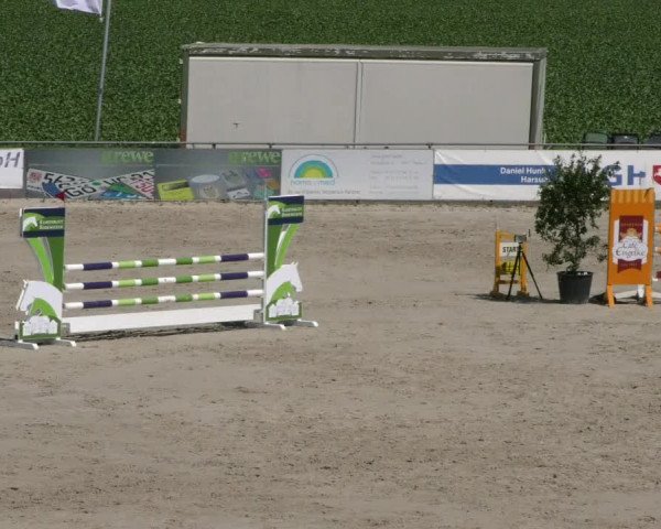 Reitturnier Harsum-Hüddessum 2023