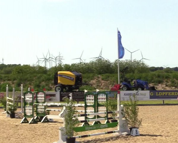 Reitturnier Niebüll 2023