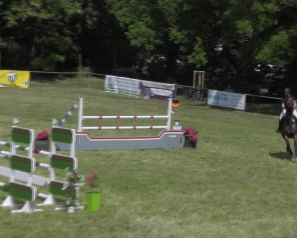 Reitturnier Königsborn 2023