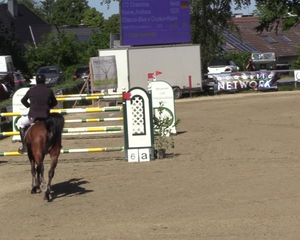 Reitturnier Letmathe 2023