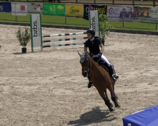 Reitturnier Werdenberg 2023