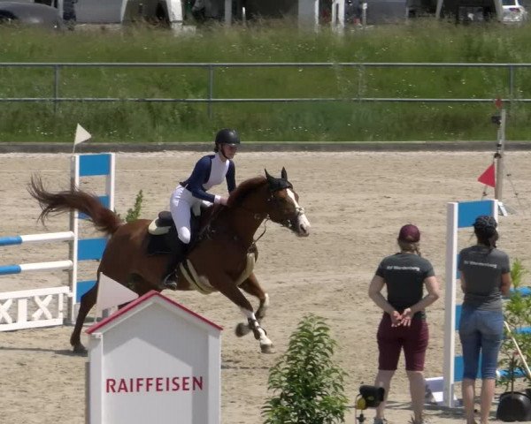 Reitturnier Werdenberg 2023