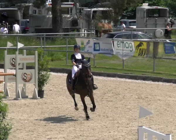 Reitturnier Werdenberg 2023