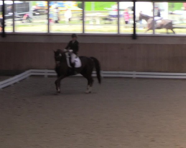 Reitturnier Niebüll 2023