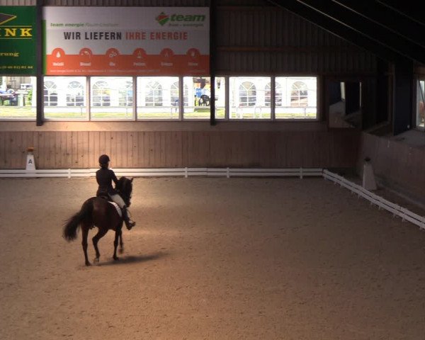 Reitturnier Niebüll 2023