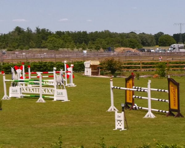 Reitturnier Ruhlsdorf 2023