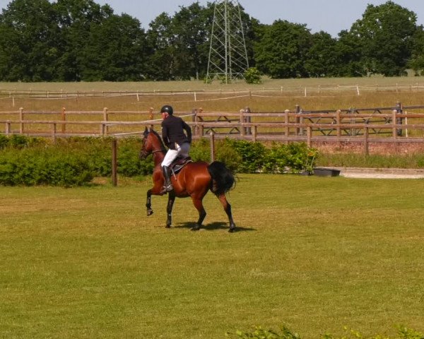 Reitturnier Ruhlsdorf 2023