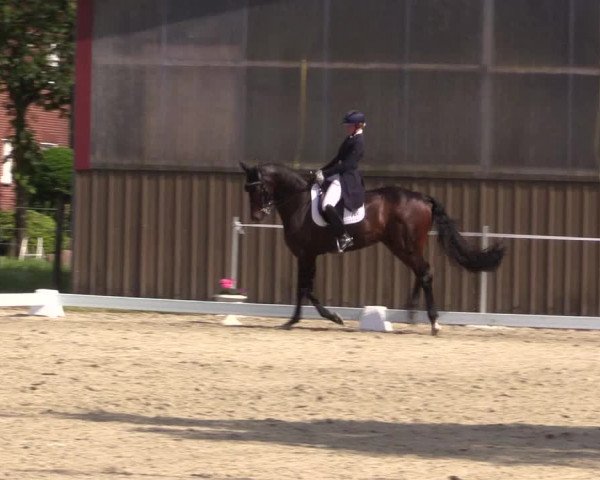 Reitturnier Nienberge Reitanlage Geßmann 2023