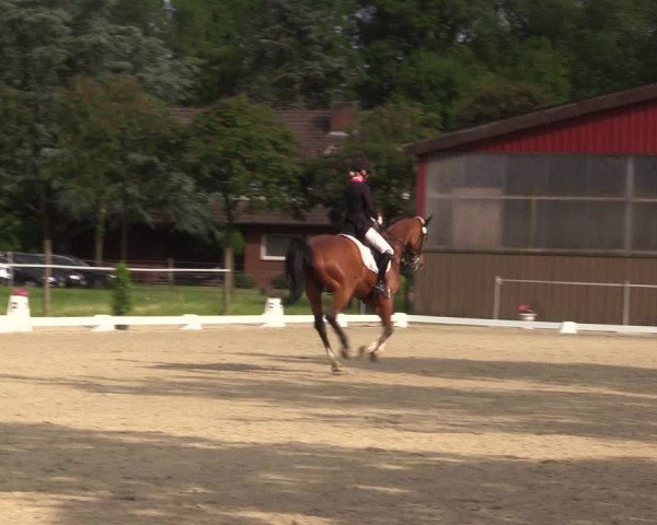 Reitturnier Nienberge Reitanlage Geßmann 2023