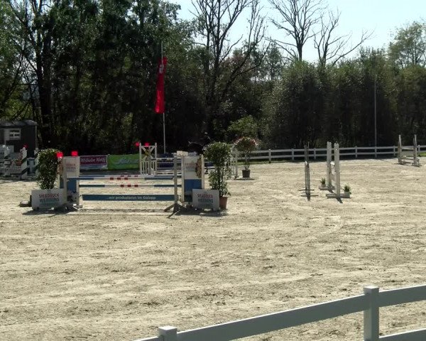 Reitturnier Isny-Rohrdorf 2021