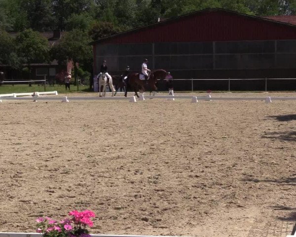 Reitturnier Nienberge Reitanlage Geßmann 2023