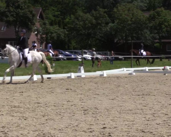 Reitturnier Nienberge Reitanlage Geßmann 2023