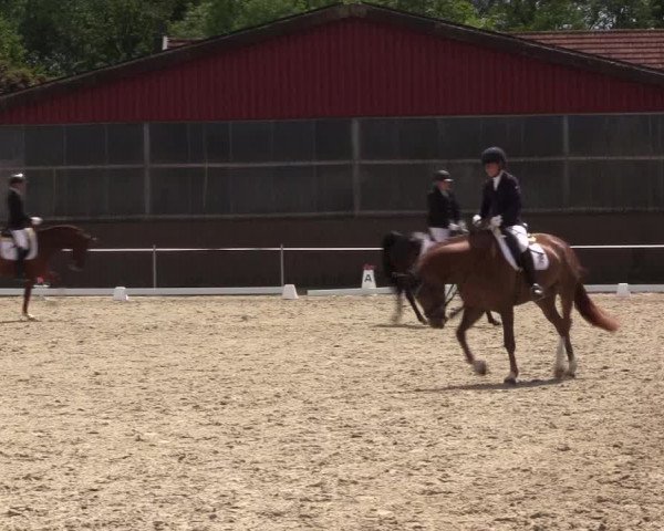 Reitturnier Nienberge Reitanlage Geßmann 2023