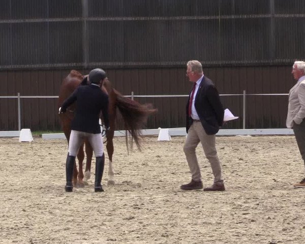 Reitturnier Nienberge Reitanlage Geßmann 2023