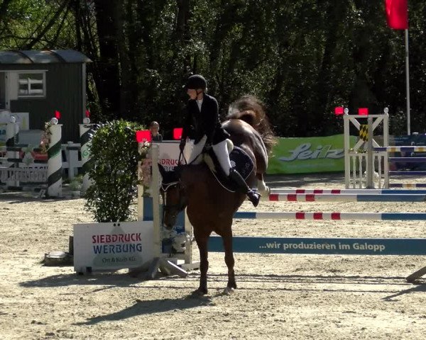 Reitturnier Isny-Rohrdorf 2021