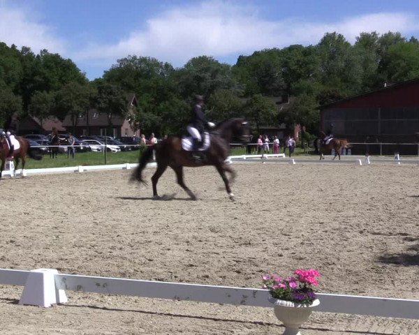 Reitturnier Nienberge Reitanlage Geßmann 2023