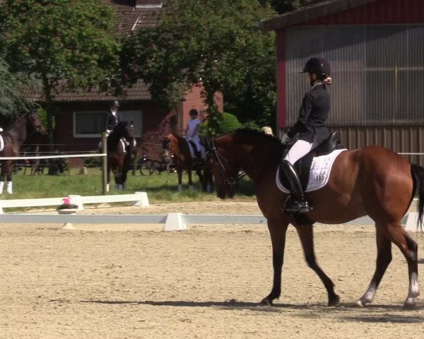 Reitturnier Nienberge Reitanlage Geßmann 2023