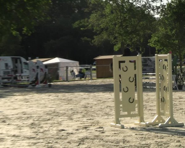 Reitturnier Nienberge Reitanlage Geßmann 2023