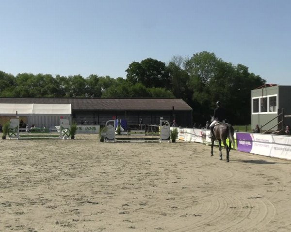 Reitturnier Nienberge Reitanlage Geßmann 2023