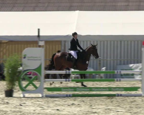 Reitturnier Nienberge Reitanlage Geßmann 2023