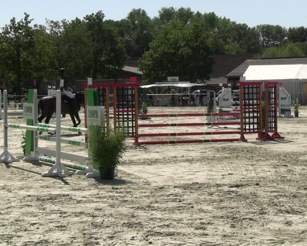 Reitturnier Nienberge Reitanlage Geßmann 2023