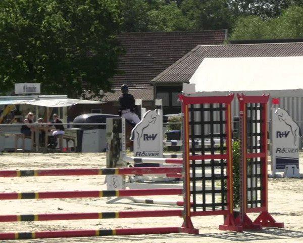 Reitturnier Nienberge Reitanlage Geßmann 2023