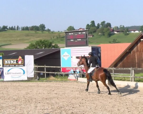 Reitturnier Ruswil 2023