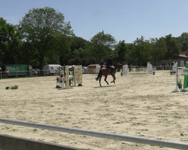 Reitturnier Nienberge Reitanlage Geßmann 2023