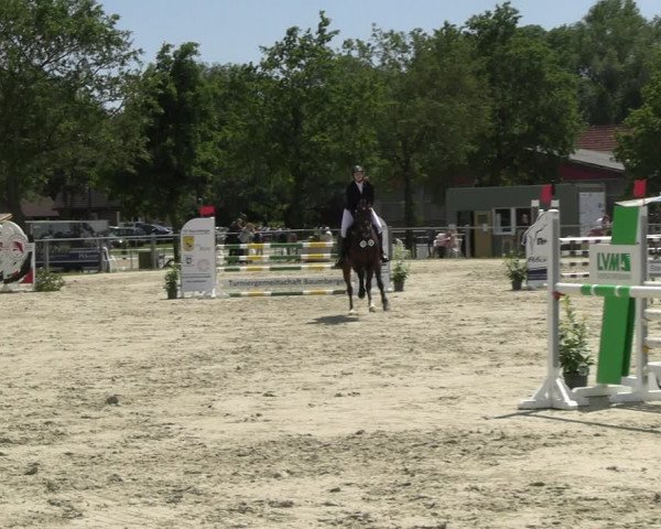 Reitturnier Nienberge Reitanlage Geßmann 2023