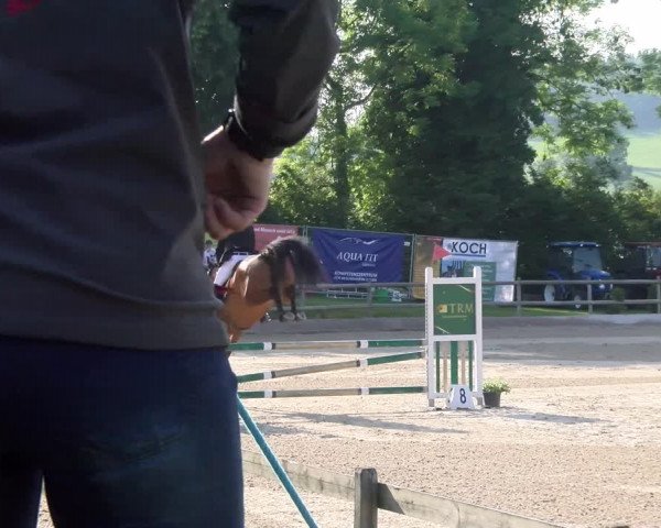 Reitturnier Ruswil 2023