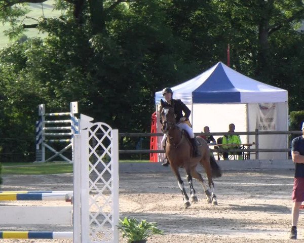 Reitturnier Ruswil 2023