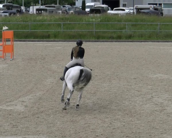 Reitturnier Werdenberg 2023