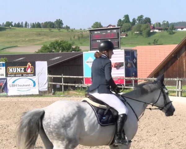 Reitturnier Ruswil 2023