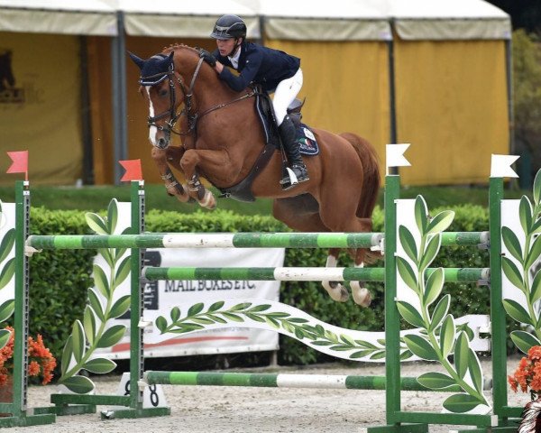 Springpferd Jackson (Belgisches Warmblut, 2009, von Esprilio)