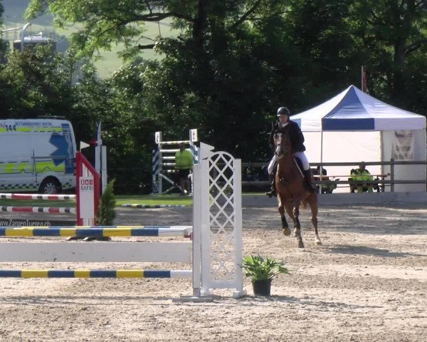 Reitturnier Ruswil 2023