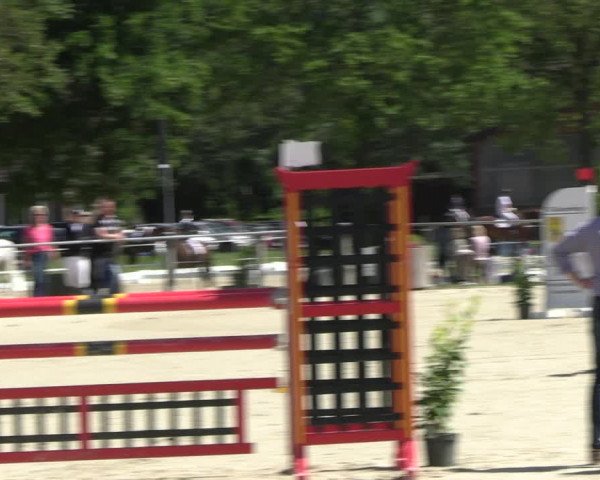 Reitturnier Nienberge Reitanlage Geßmann 2023