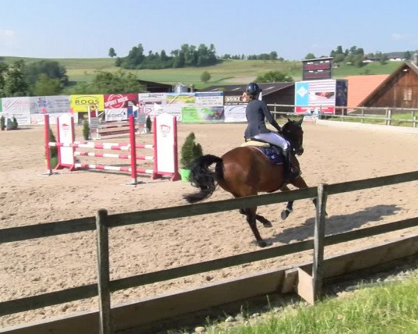 Reitturnier Ruswil 2023