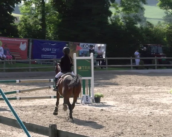 Reitturnier Ruswil 2023