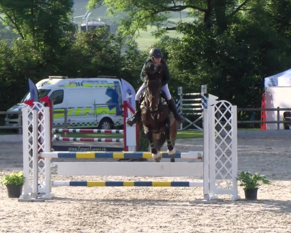 Reitturnier Ruswil 2023