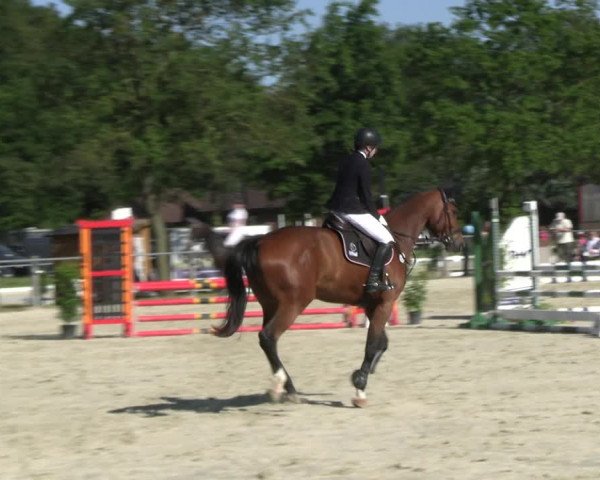 Reitturnier Nienberge Reitanlage Geßmann 2023