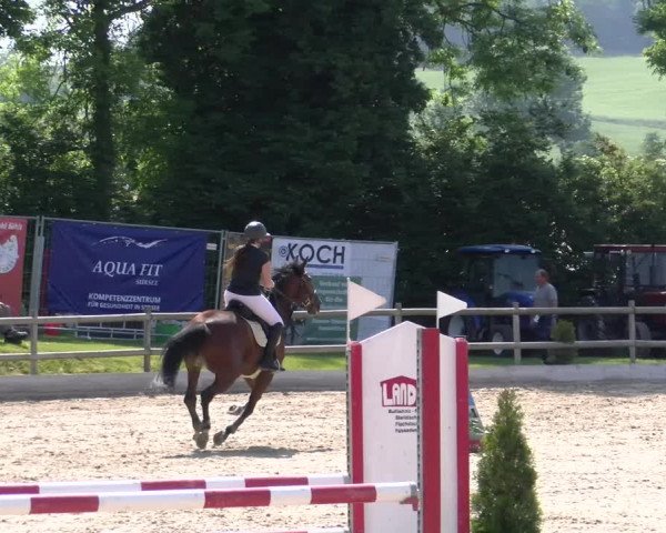 Reitturnier Ruswil 2023