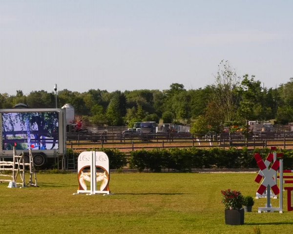 Reitturnier Ruhlsdorf 2023